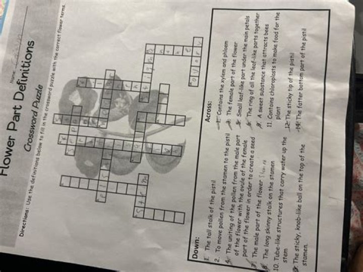 Discover The Essential Pump Part Crossword Puzzle For Experts