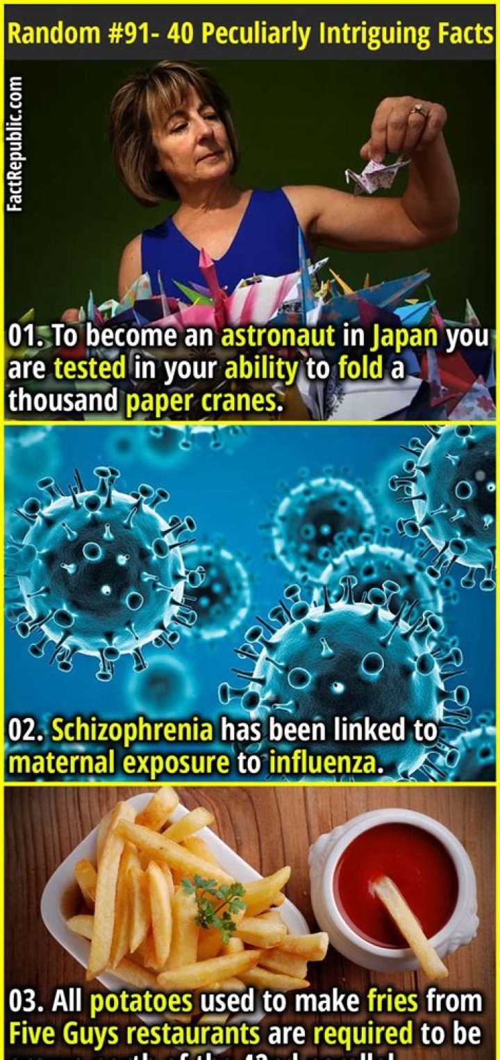 Surprising Revelations And Intriguing Facts