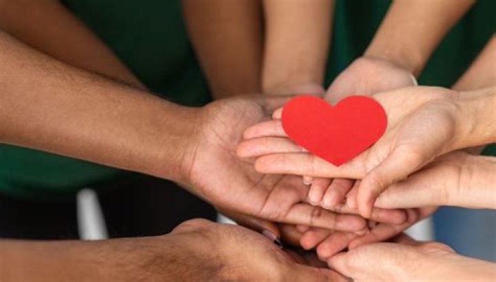 Uncovering Surprising Truths And Heartfelt Connections
